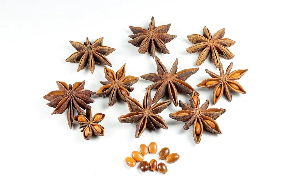 Dried star anise pods and seeds on a white background