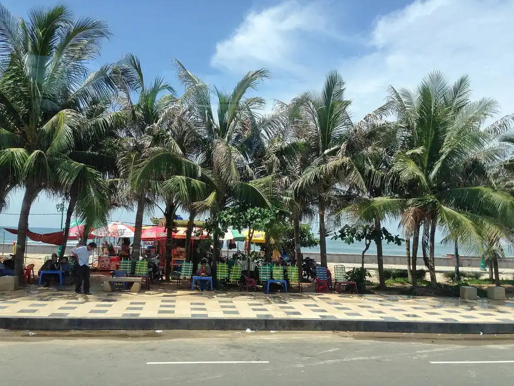 Palm trees along the seafront at Bãi Sau, Vũng Tàu