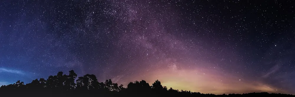 Starry night sky above a dark treeline